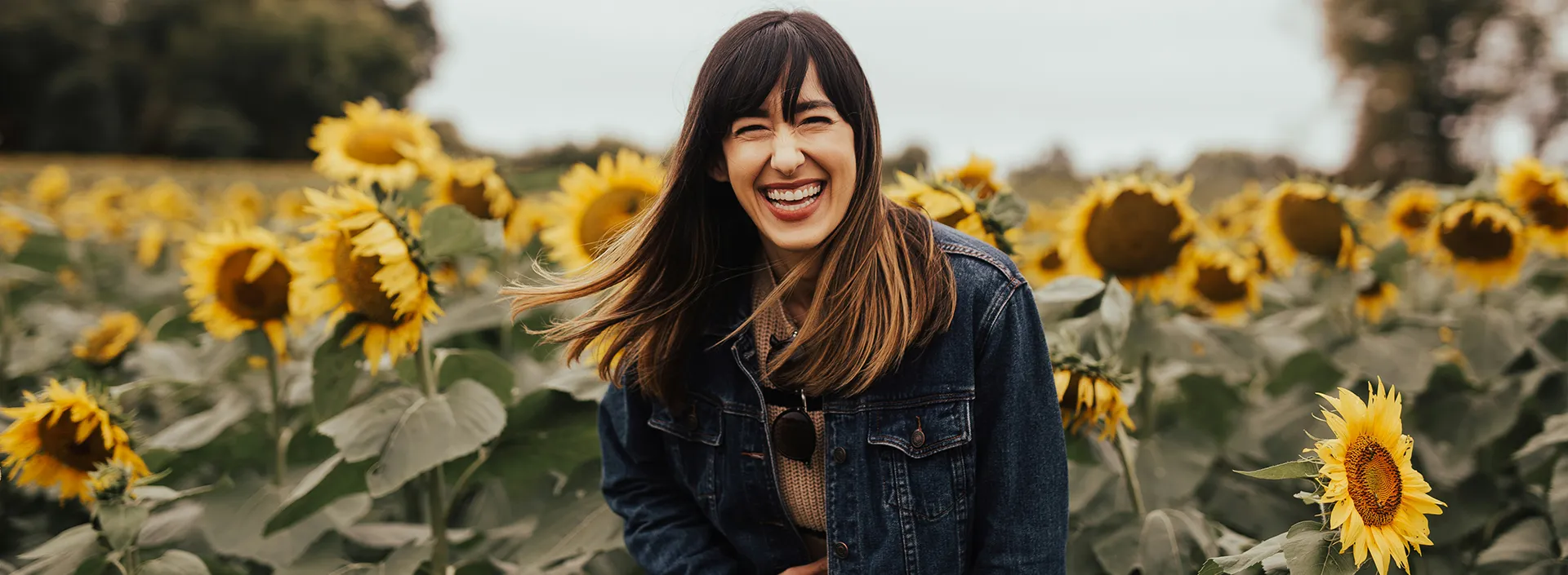 Digital strategy consultant for new zealand business